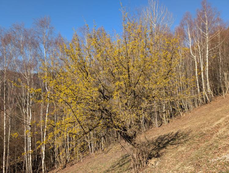 pxl_20260307_090035482.mp.jpg pxl_20260307_090035482.mp.jpg