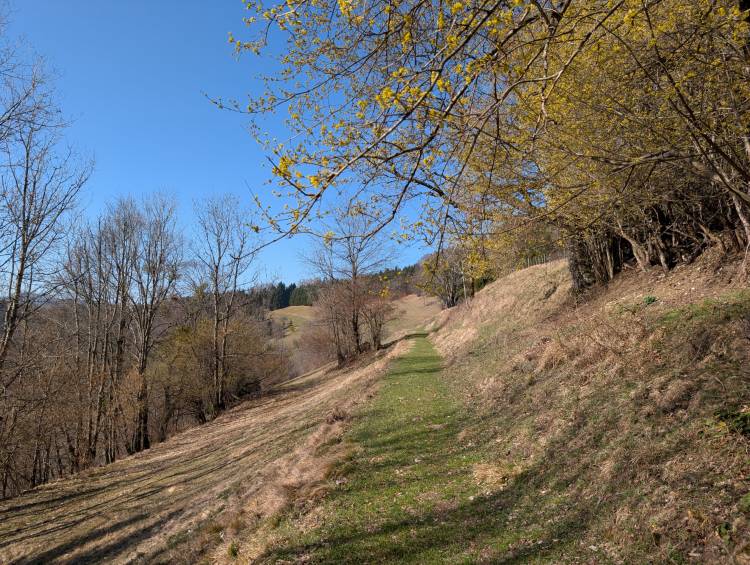 pxl_20260307_092934513.mp.jpg pxl_20260307_092934513.mp.jpg