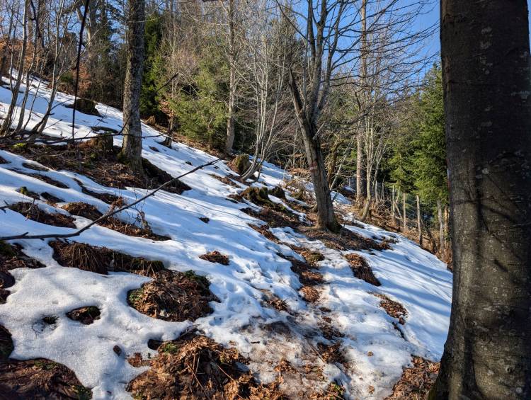 pxl_20260307_104106509.mp.jpg pxl_20260307_104106509.mp.jpg