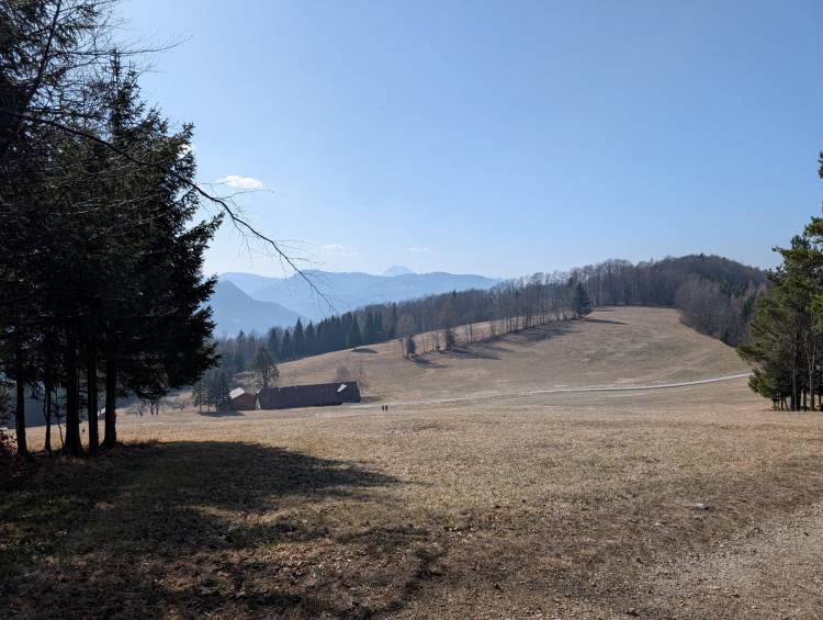 pxl_20260307_121440692.jpg pxl_20260307_121440692.jpg