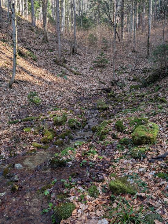 pxl_20260307_122953017.mp.jpg pxl_20260307_122953017.mp.jpg