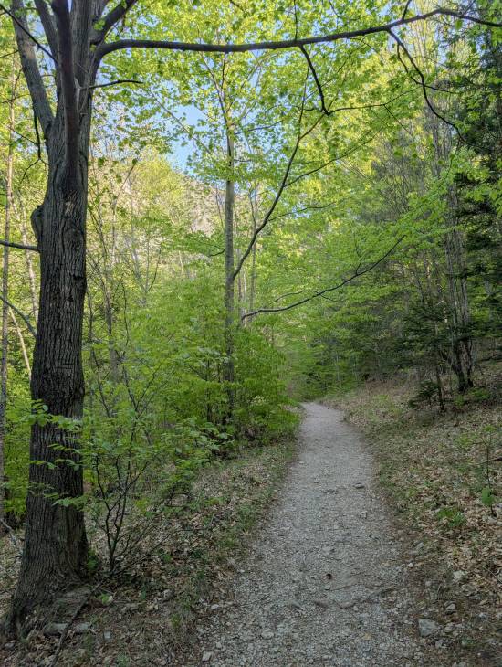 pxl_20260425_063818926.jpg pxl_20260425_063818926.jpg