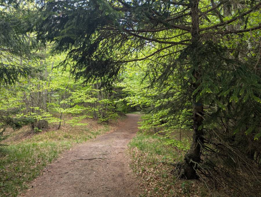 pxl_20260509_093655529.jpg