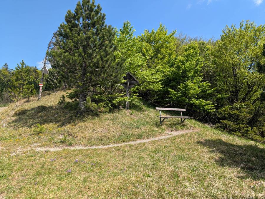 pxl_20260509_094603461.jpg