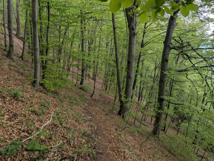 pxl_20260509_111724517.jpg