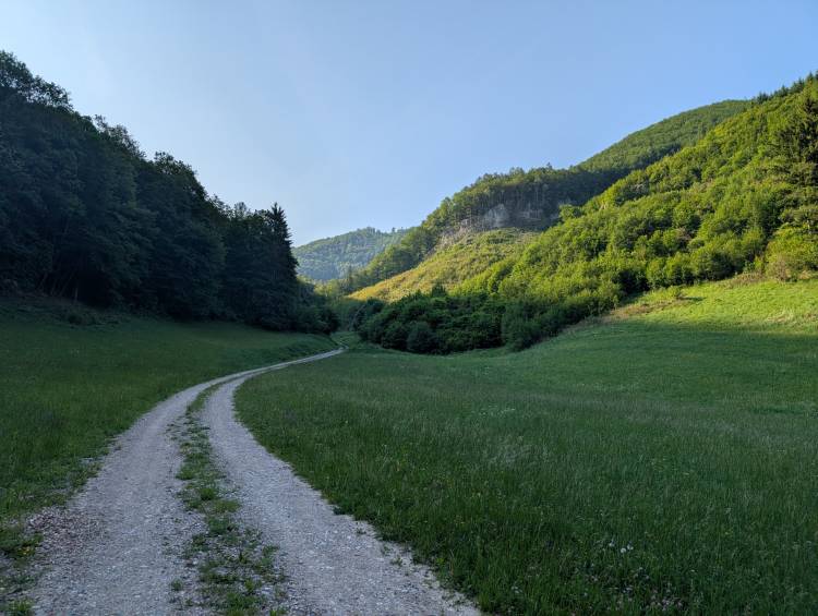 pxl_20260525_060746067.jpg