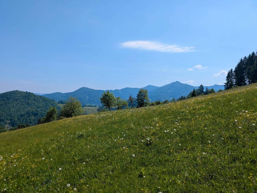 pxl_20260525_084114502.jpg