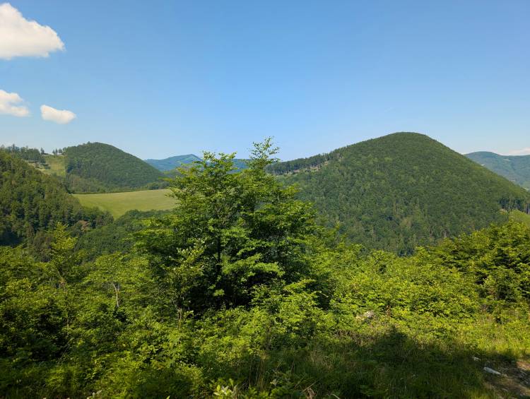 pxl_20260525_090503557.jpg