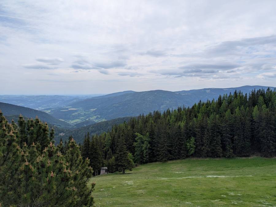 pxl_20260530_093040406.jpg
