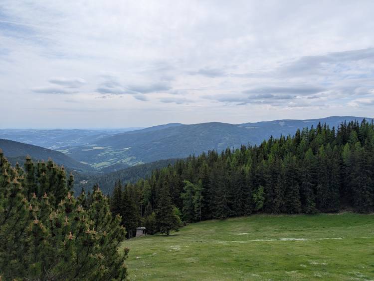 pxl_20260530_093040406.jpg