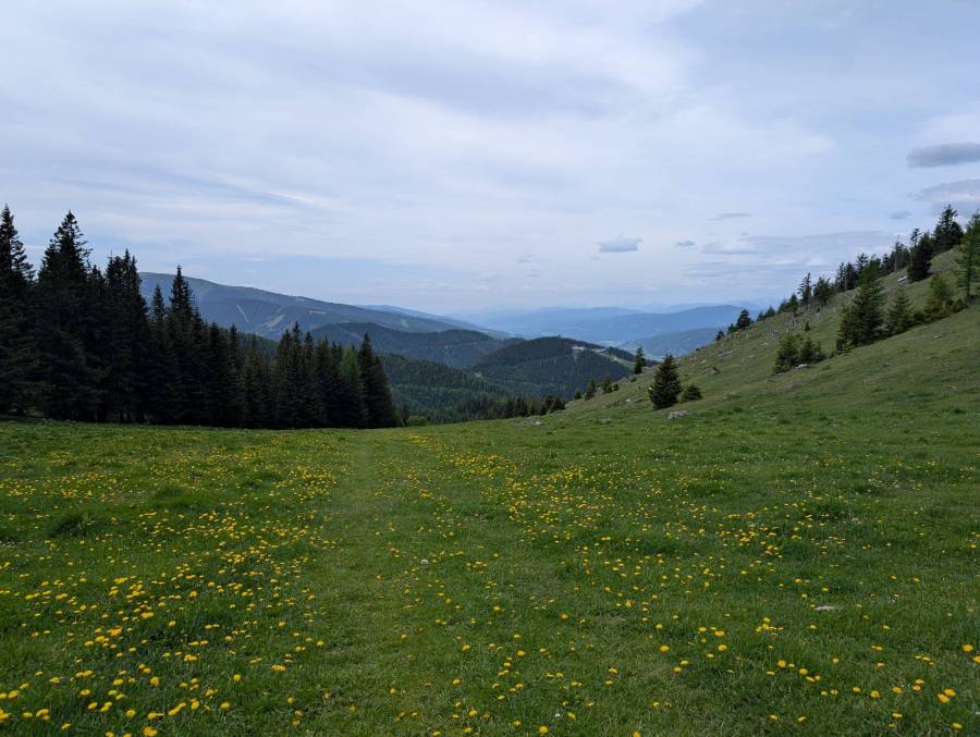 pxl_20260530_101553247.jpg