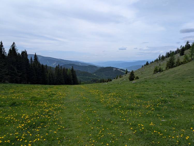 pxl_20260530_101553247.jpg