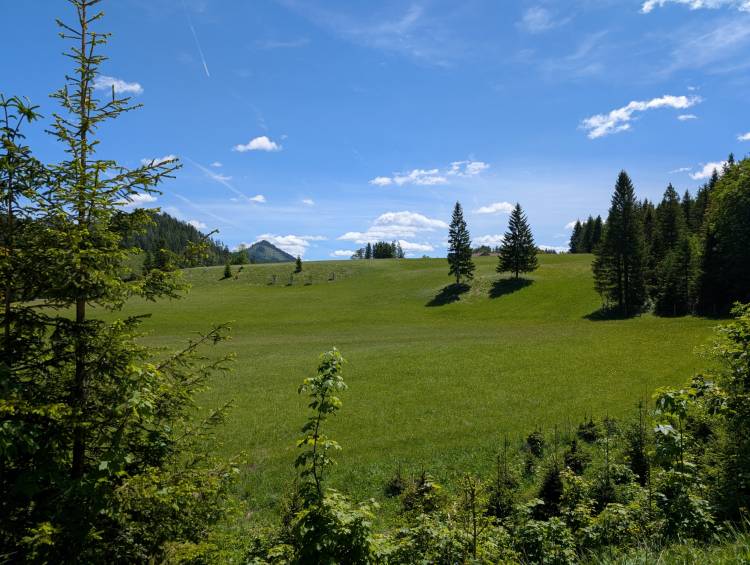 pxl_20260604_101717914.jpg