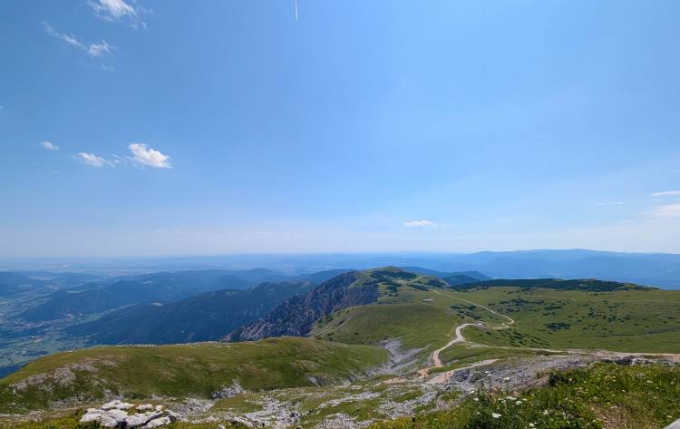 pxl_20260803_095104449.jpg pxl_20260803_095104449.jpg