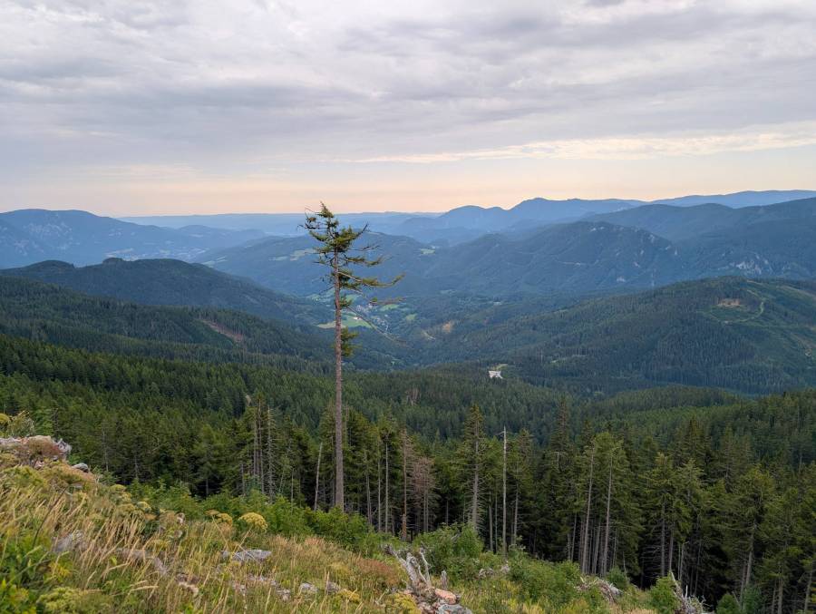 pxl_20260810_075722240.jpg