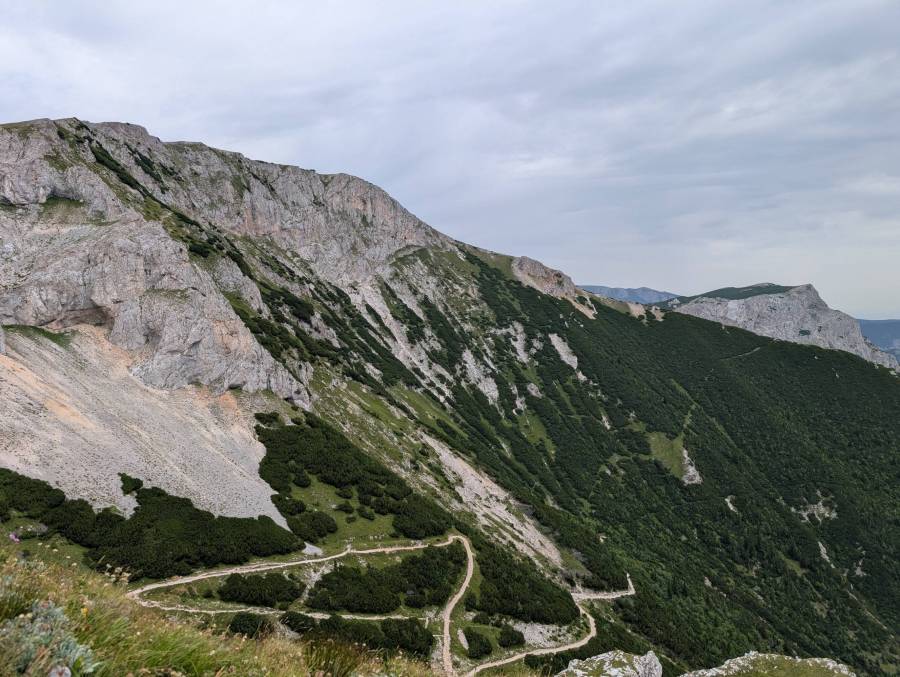 pxl_20260810_093237780.jpg