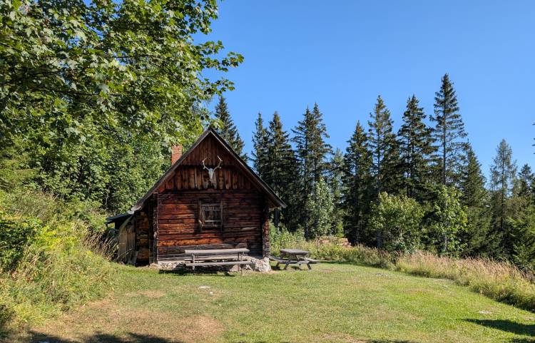 pxl_20260815_074801943.jpg pxl_20260815_074801943.jpg