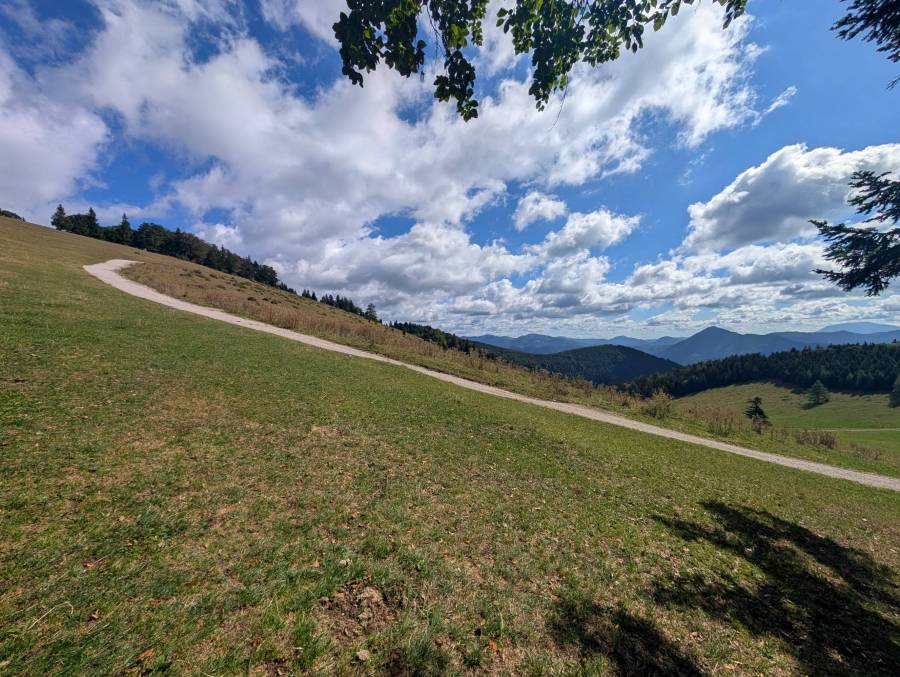 pxl_20260901_091100414.jpg