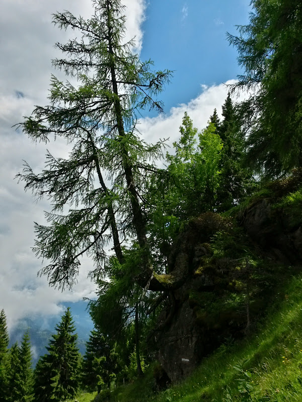 lh5.googleusercontent.com_-canbxoffkuq_vyfvikkibii_aaaaaaaakrc_hoantnporn4_w600-h800-no_20150617_134809_richtone_2528hdr_2529.jpg lh5.googleusercontent.com_-canbxoffkuq_vyfvikkibii_aaaaaaaakrc_hoantnporn4_w600-h800-no_20150617_134809_richtone_2528hdr_2529.jpg