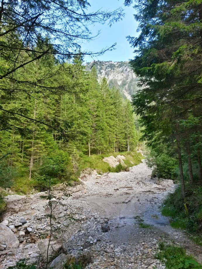 lh4.googleusercontent.com_-laycvlv2pxe_u-36qp7djri_aaaaaaaab6g_vcmd3xco8k0_w691-h921-no_20140815_083526_richtone_28hdr_29.jpg lh4.googleusercontent.com_-laycvlv2pxe_u-36qp7djri_aaaaaaaab6g_vcmd3xco8k0_w691-h921-no_20140815_083526_richtone_28hdr_29.jpg