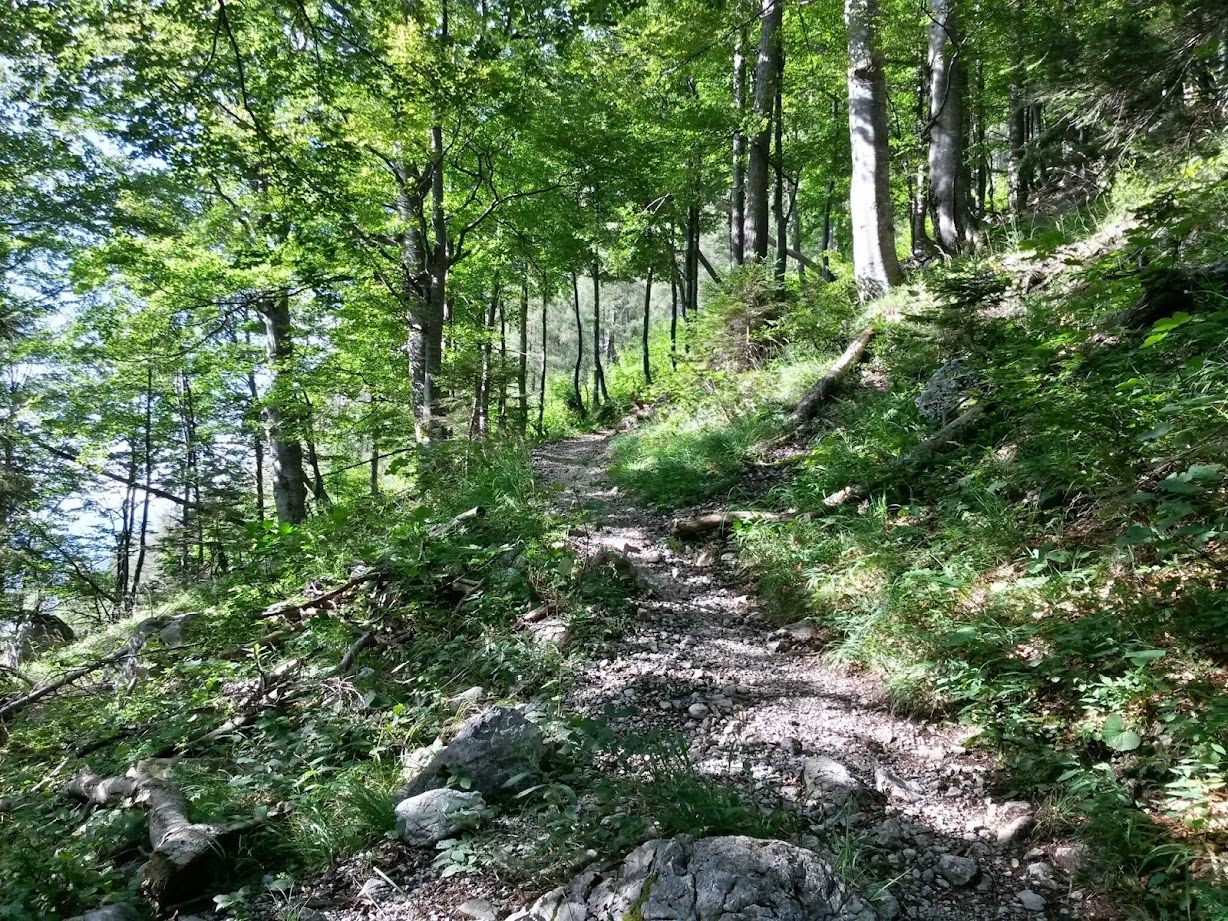 lh5.googleusercontent.com_-pgur0jlucow_u-361pd5nti_aaaaaaaab7c_avym5uhinfm_w1228-h921-no_20140815_090617_richtone_28hdr_29.jpg lh5.googleusercontent.com_-pgur0jlucow_u-361pd5nti_aaaaaaaab7c_avym5uhinfm_w1228-h921-no_20140815_090617_richtone_28hdr_29.jpg