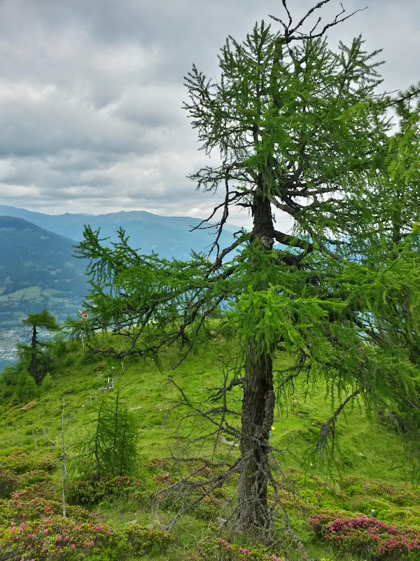 lh5.googleusercontent.com_-qx46br_ikio_vyfvfilk7ti_aaaaaaaakre_lr-vsxwpzo0_w600-h800-no_20150617_124443_richtone_2528hdr_2529.jpg lh5.googleusercontent.com_-qx46br_ikio_vyfvfilk7ti_aaaaaaaakre_lr-vsxwpzo0_w600-h800-no_20150617_124443_richtone_2528hdr_2529.jpg