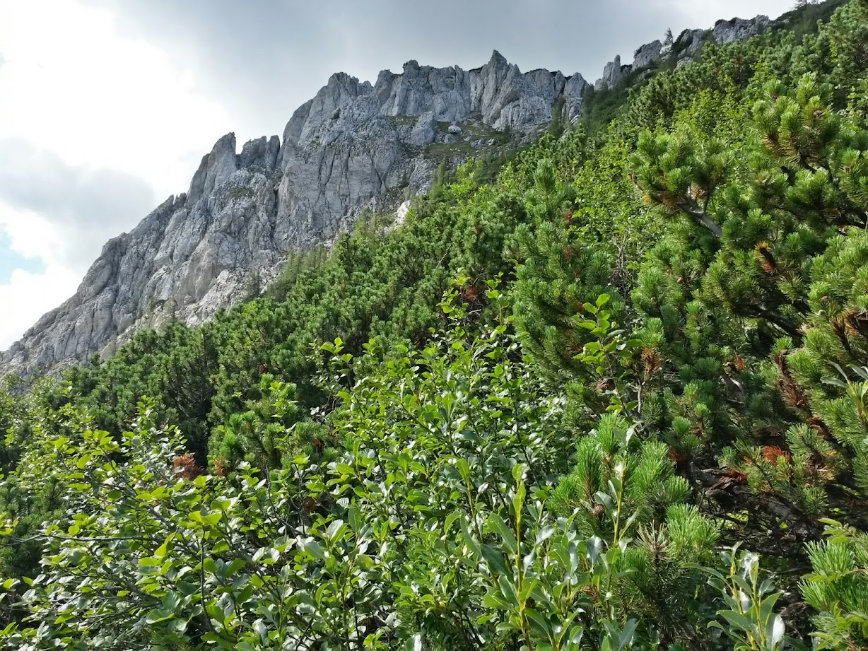 lh5.googleusercontent.com_-1qvx430c58u_u-37dhj9hwi_aaaaaaaab8k_e6bbffehhbo_w1228-h921-no_20140815_094923_richtone_28hdr_29.jpg lh5.googleusercontent.com_-1qvx430c58u_u-37dhj9hwi_aaaaaaaab8k_e6bbffehhbo_w1228-h921-no_20140815_094923_richtone_28hdr_29.jpg