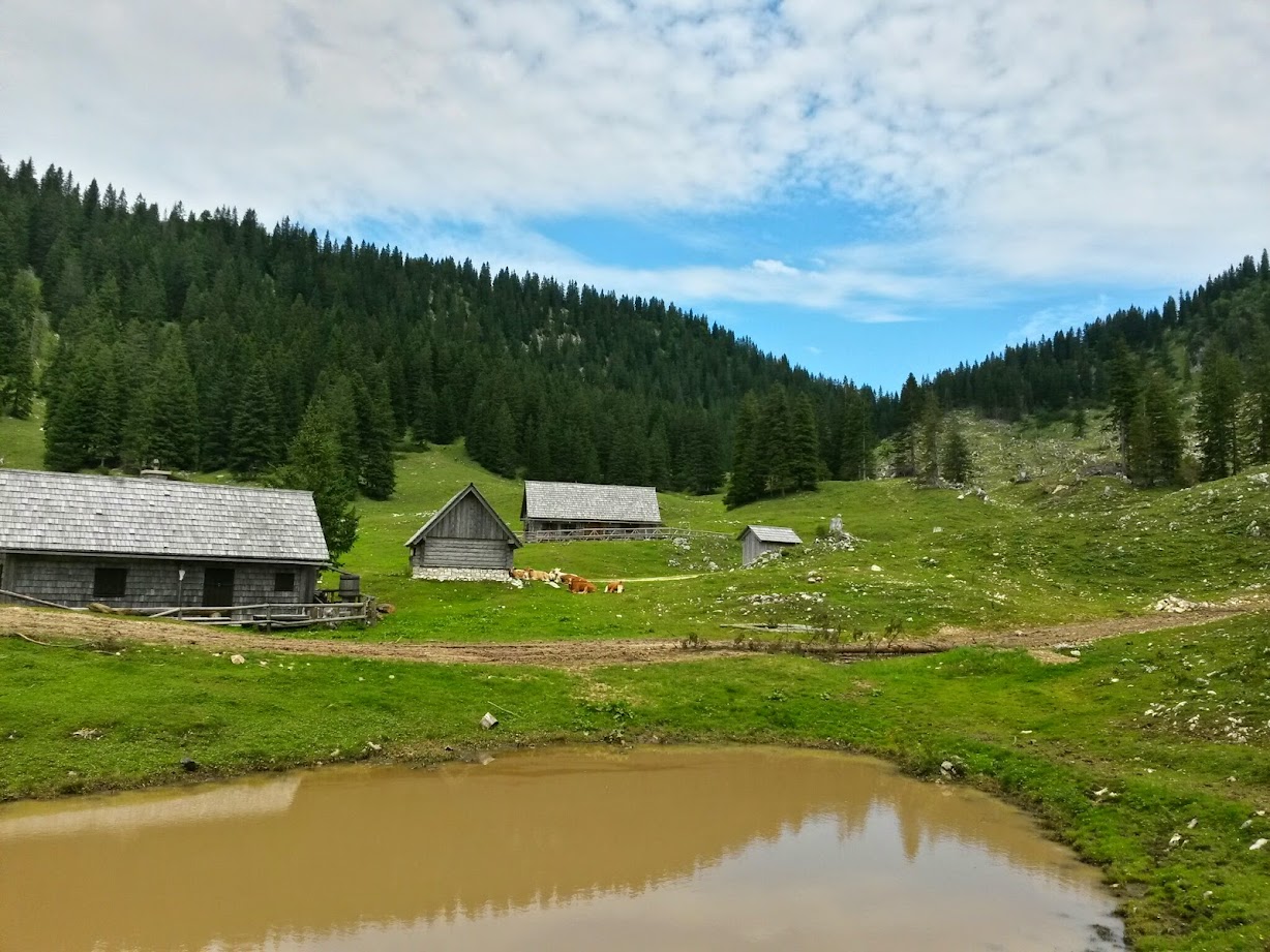 lh3.googleusercontent.com_-ybhhz2gfaoi_u-zv3bcckri_aaaaaaaab2u_o4emav6hpgc_w1228-h921-no_20140809_124924_richtone_28hdr_29.jpg lh3.googleusercontent.com_-ybhhz2gfaoi_u-zv3bcckri_aaaaaaaab2u_o4emav6hpgc_w1228-h921-no_20140809_124924_richtone_28hdr_29.jpg