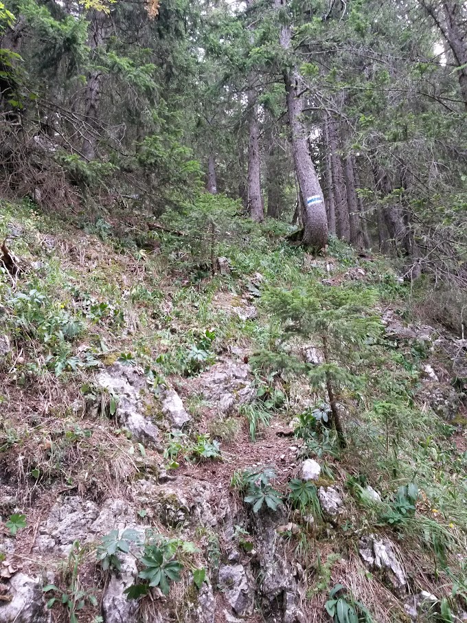 lh4.googleusercontent.com_-raleosfpp2g_vc9au-nj7yi_aaaaaaaanlk_geyzhp2r324_w680-h907-no_20150815_094917_richtone_2528hdr_2529.jpg lh4.googleusercontent.com_-raleosfpp2g_vc9au-nj7yi_aaaaaaaanlk_geyzhp2r324_w680-h907-no_20150815_094917_richtone_2528hdr_2529.jpg