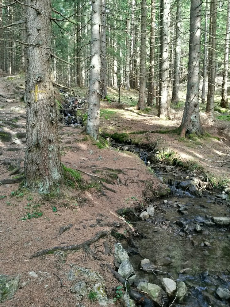 lh3.googleusercontent.com_-0fd6s98zeta_vhxmcj9-roi_aaaaaaaafxi_nxzflj_z1du_w750-h1000-no_20141126_101714_richtone_28hdr_29.jpg lh3.googleusercontent.com_-0fd6s98zeta_vhxmcj9-roi_aaaaaaaafxi_nxzflj_z1du_w750-h1000-no_20141126_101714_richtone_28hdr_29.jpg