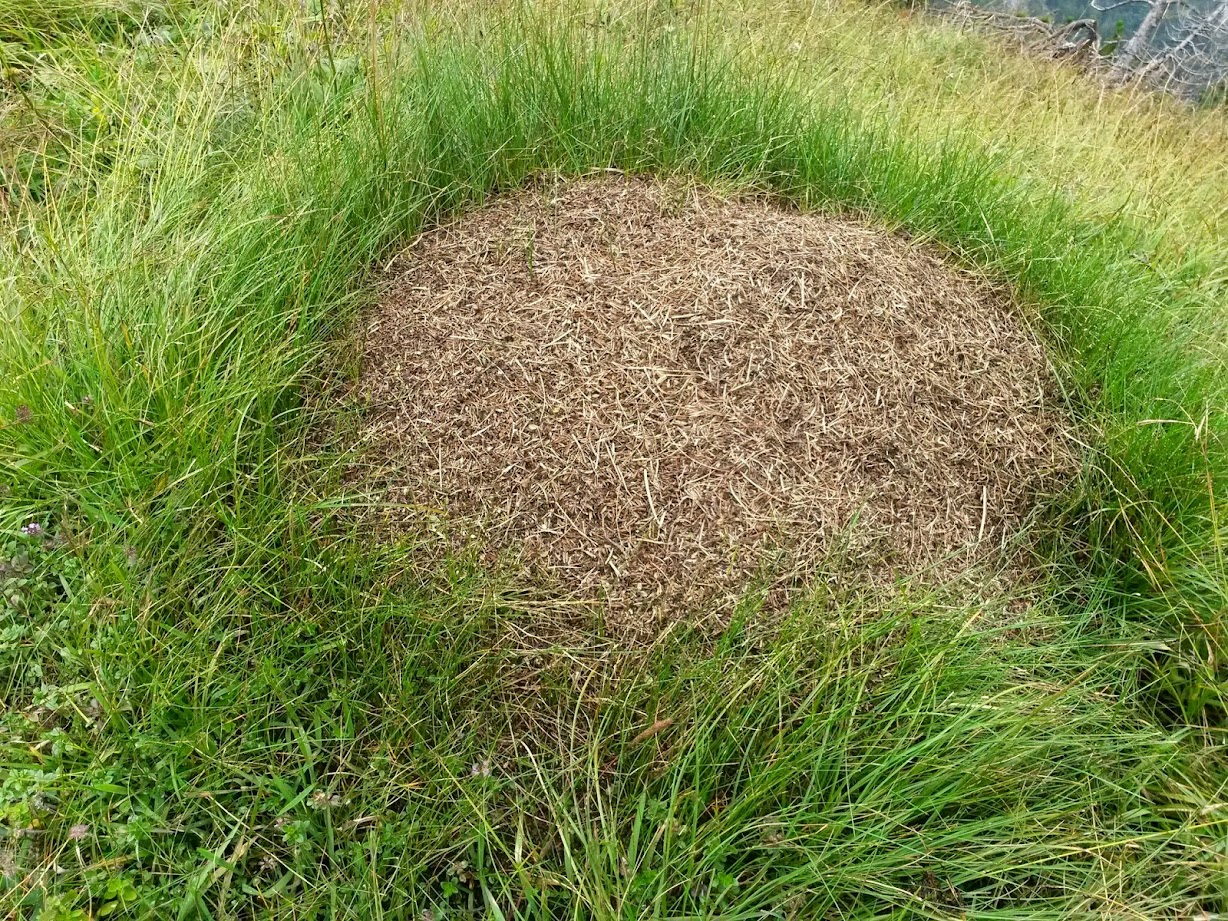 lh4.googleusercontent.com_-k35hda1iz0e_u_iurv3si0i_aaaaaaaack0_u0mhklzbsne_w1228-h921-no_20140823_112738_richtone_28hdr_29.jpg lh4.googleusercontent.com_-k35hda1iz0e_u_iurv3si0i_aaaaaaaack0_u0mhklzbsne_w1228-h921-no_20140823_112738_richtone_28hdr_29.jpg