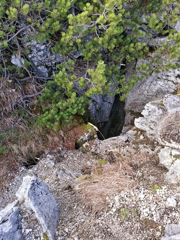 lh5.googleusercontent.com_-zr7qxus_vsi_vhxr4gjizii_aaaaaaaafbq_ol6xwmtfqvy_w600-h800-no_20141126_121106_richtone_28hdr_29.jpg lh5.googleusercontent.com_-zr7qxus_vsi_vhxr4gjizii_aaaaaaaafbq_ol6xwmtfqvy_w600-h800-no_20141126_121106_richtone_28hdr_29.jpg