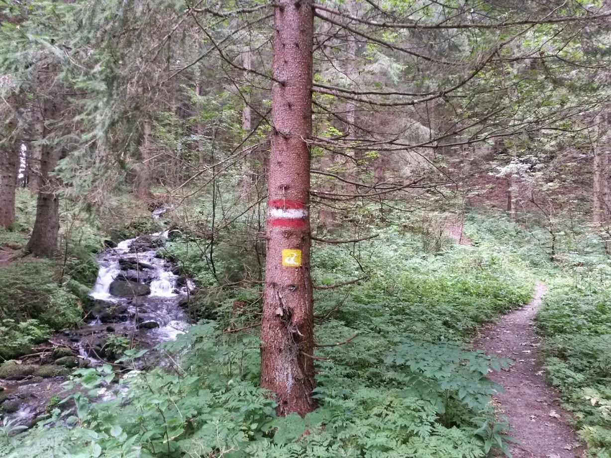 lh3.googleusercontent.com_-2w1sq8jra84_vagzieh6yxi_aaaaaaaacss_1yqm1utjiu0_w1228-h921-no_20140830_082349_richtone_28hdr_29.jpg lh3.googleusercontent.com_-2w1sq8jra84_vagzieh6yxi_aaaaaaaacss_1yqm1utjiu0_w1228-h921-no_20140830_082349_richtone_28hdr_29.jpg