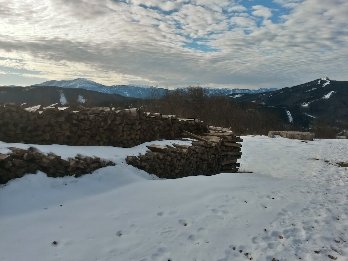 lh5.googleusercontent.com_-jjbns3ravko_urbxhi159ti_aaaaaaaattc_p3ms_tierwk_w1155-h866-no_20131222_104348_richtone_2528hdr_2529.jpg lh5.googleusercontent.com_-jjbns3ravko_urbxhi159ti_aaaaaaaattc_p3ms_tierwk_w1155-h866-no_20131222_104348_richtone_2528hdr_2529.jpg