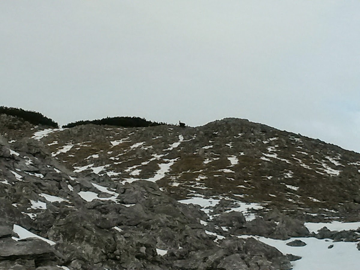 lh5.googleusercontent.com_-fiutlpkmuh4_vhncgwwhdfi_aaaaaaaafmo_mpv0qflfb8q_w1200-h900-no_20141124_113456_richtone_28hdr_29.jpg lh5.googleusercontent.com_-fiutlpkmuh4_vhncgwwhdfi_aaaaaaaafmo_mpv0qflfb8q_w1200-h900-no_20141124_113456_richtone_28hdr_29.jpg