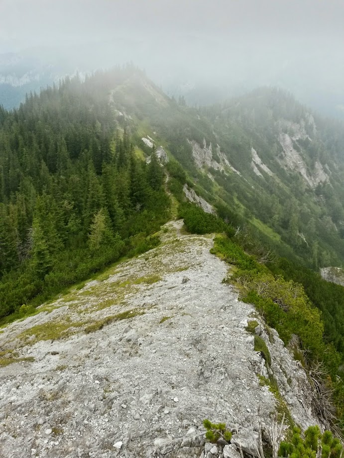 lh4.googleusercontent.com_-4uucznkpwa8_u_iuodue1ti_aaaaaaaacko_4slmdruqcvk_w691-h921-no_20140823_112416_richtone_28hdr_29.jpg lh4.googleusercontent.com_-4uucznkpwa8_u_iuodue1ti_aaaaaaaacko_4slmdruqcvk_w691-h921-no_20140823_112416_richtone_28hdr_29.jpg