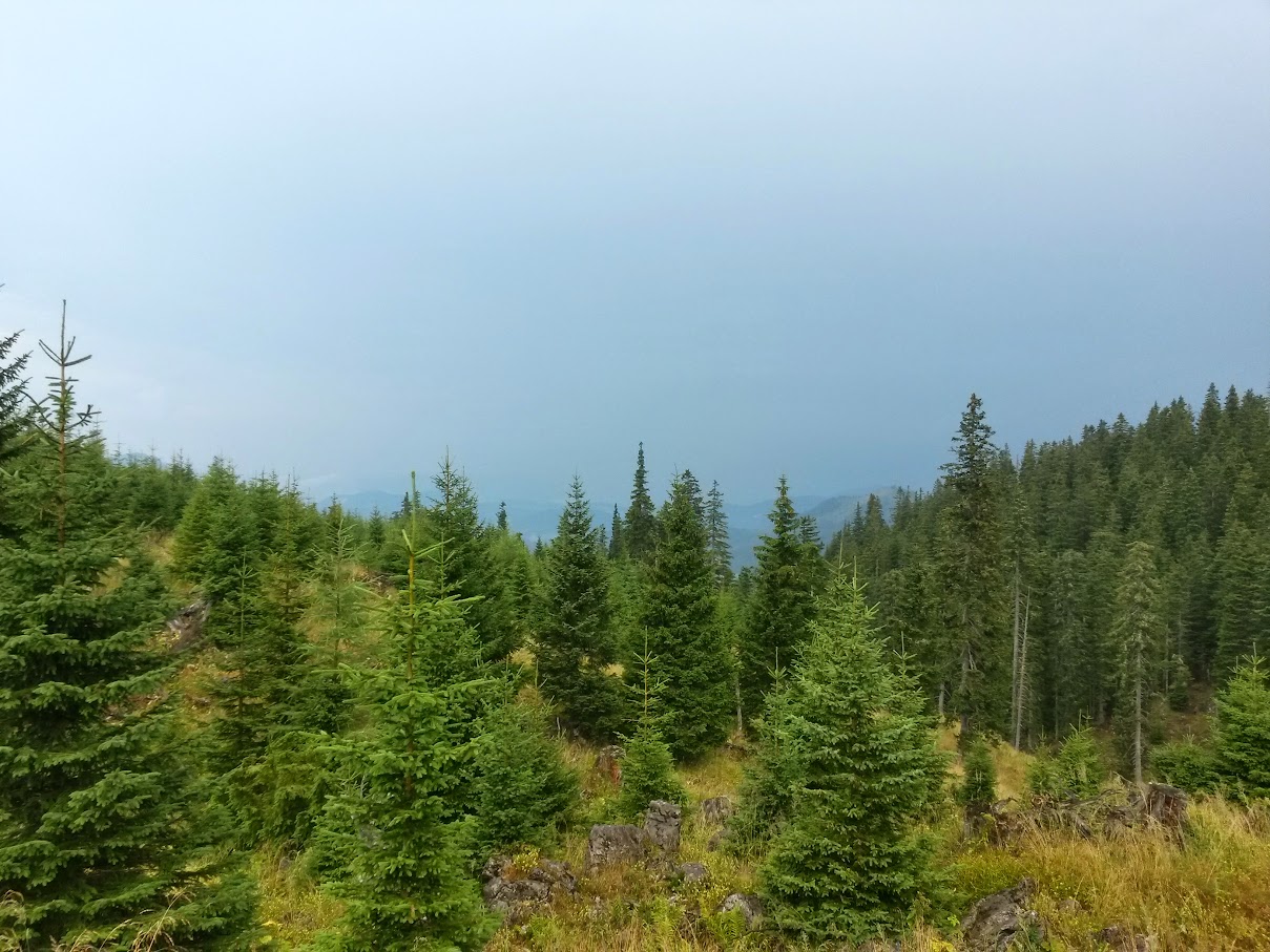 lh4.googleusercontent.com_-qjex3naomlm_vc9aaonqlwi_aaaaaaaanl0_qv_3a-uoqmu_w1209-h907-no_20150815_112032_richtone_2528hdr_2529.jpg lh4.googleusercontent.com_-qjex3naomlm_vc9aaonqlwi_aaaaaaaanl0_qv_3a-uoqmu_w1209-h907-no_20150815_112032_richtone_2528hdr_2529.jpg