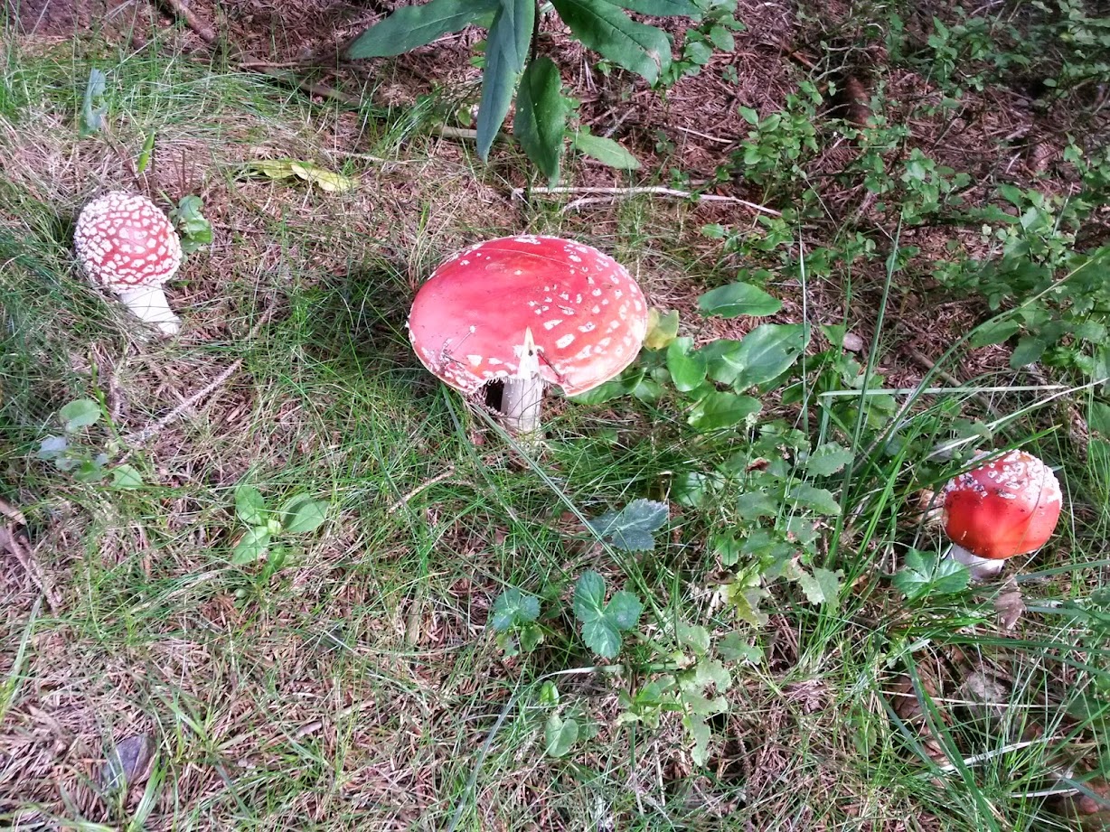 lh6.googleusercontent.com_-lucaixmqlz8_vagzmagszai_aaaaaaaacuk_ze882o09rv8_w1228-h921-no_20140830_091225_richtone_28hdr_29.jpg lh6.googleusercontent.com_-lucaixmqlz8_vagzmagszai_aaaaaaaacuk_ze882o09rv8_w1228-h921-no_20140830_091225_richtone_28hdr_29.jpg