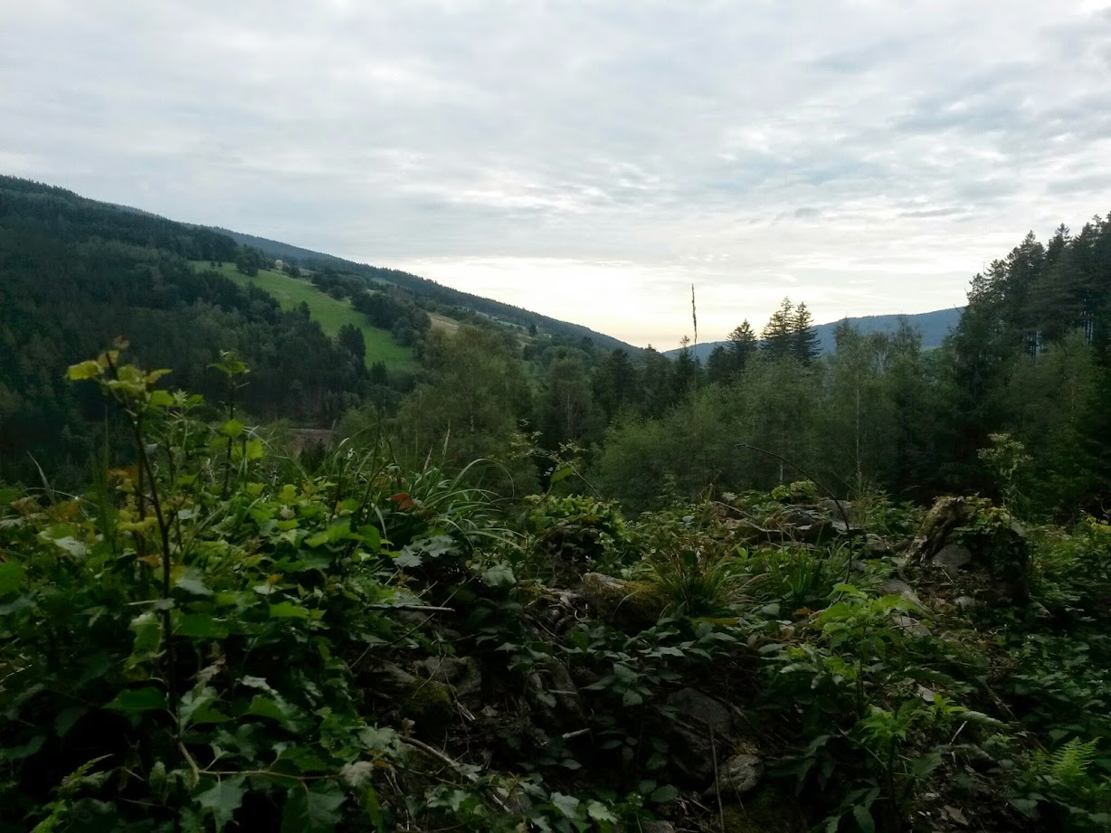 lh5.googleusercontent.com_--kbh7odl0_s_vagzkeqohmi_aaaaaaaacs4_yex5iwttixc_w1228-h921-no_20140830_083048.jpg lh5.googleusercontent.com_--kbh7odl0_s_vagzkeqohmi_aaaaaaaacs4_yex5iwttixc_w1228-h921-no_20140830_083048.jpg