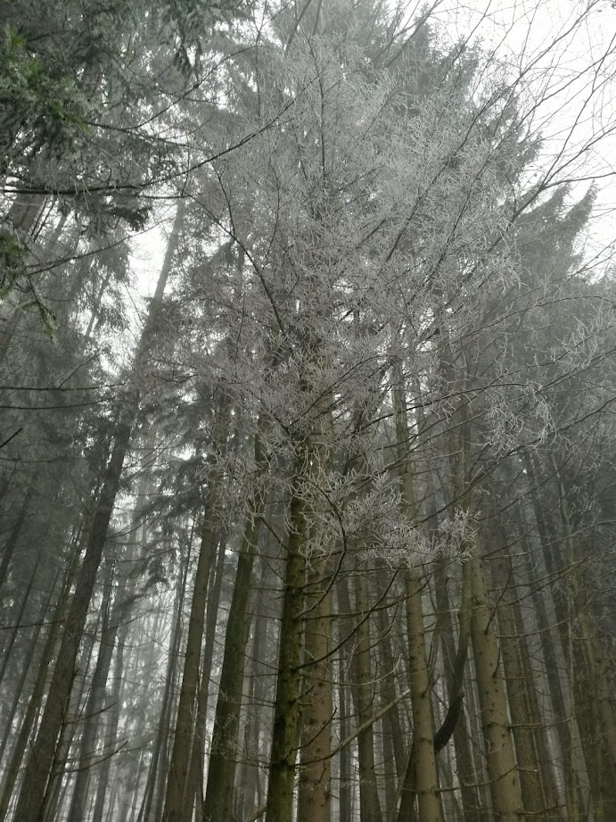 lh3.googleusercontent.com_-yhb37xah19y_vhokp5qoloi_aaaaaaaafle_emrbbpcfsg4_w691-h921-no_20141129_102822_richtone_28hdr_29.jpg lh3.googleusercontent.com_-yhb37xah19y_vhokp5qoloi_aaaaaaaafle_emrbbpcfsg4_w691-h921-no_20141129_102822_richtone_28hdr_29.jpg