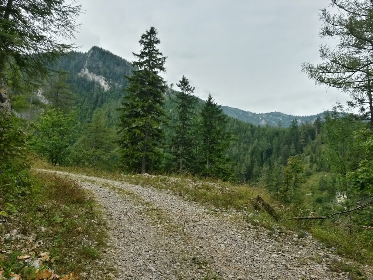 lh5.googleusercontent.com_-aewxxz8sewc_u_it_crsndi_aaaaaaaachq_ofgrr5r3uay_w1228-h921-no_20140823_084324_richtone_28hdr_29.jpg lh5.googleusercontent.com_-aewxxz8sewc_u_it_crsndi_aaaaaaaachq_ofgrr5r3uay_w1228-h921-no_20140823_084324_richtone_28hdr_29.jpg