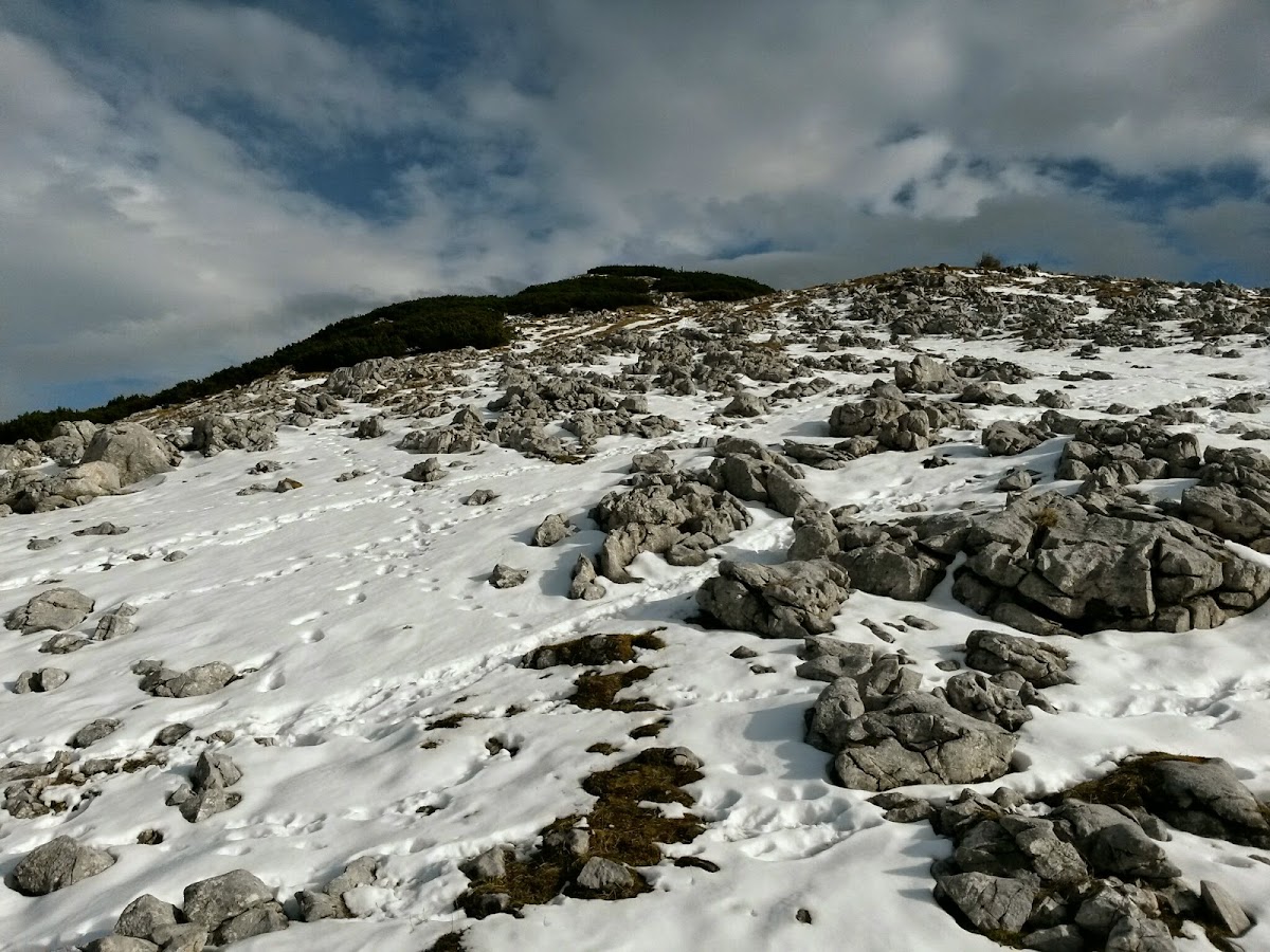 lh6.googleusercontent.com_-iyvzpuvaijc_vhngbhwjxqi_aaaaaaaafok_qlmoncsyqu0_w1200-h900-no_20141124_121513_richtone_28hdr_29.jpg lh6.googleusercontent.com_-iyvzpuvaijc_vhngbhwjxqi_aaaaaaaafok_qlmoncsyqu0_w1200-h900-no_20141124_121513_richtone_28hdr_29.jpg