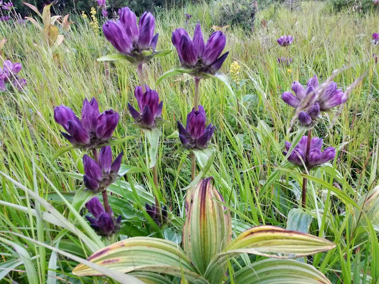 lh4.googleusercontent.com_-c0zze5a3tue_u-37hjhq2li_aaaaaaaab88_d2fogxrkvqu_w1228-h921-no_20140815_100622_richtone_28hdr_29.jpg lh4.googleusercontent.com_-c0zze5a3tue_u-37hjhq2li_aaaaaaaab88_d2fogxrkvqu_w1228-h921-no_20140815_100622_richtone_28hdr_29.jpg