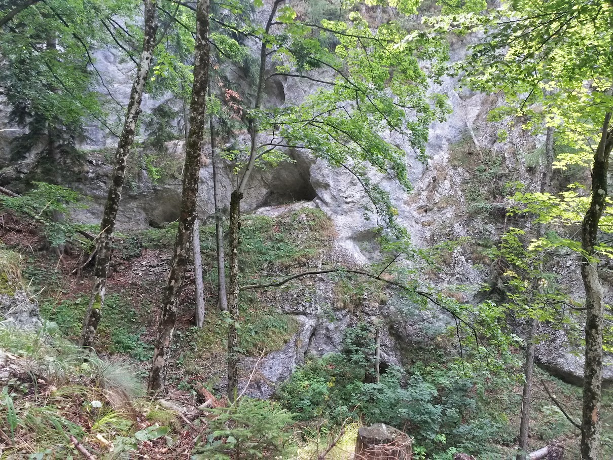 lh4.googleusercontent.com_-pjm22xuspba_vc9a2o0wpsi_aaaaaaaanm8_7bjzwafc8ro_w1209-h907-no_20150815_132819_richtone_2528hdr_2529.jpg lh4.googleusercontent.com_-pjm22xuspba_vc9a2o0wpsi_aaaaaaaanm8_7bjzwafc8ro_w1209-h907-no_20150815_132819_richtone_2528hdr_2529.jpg