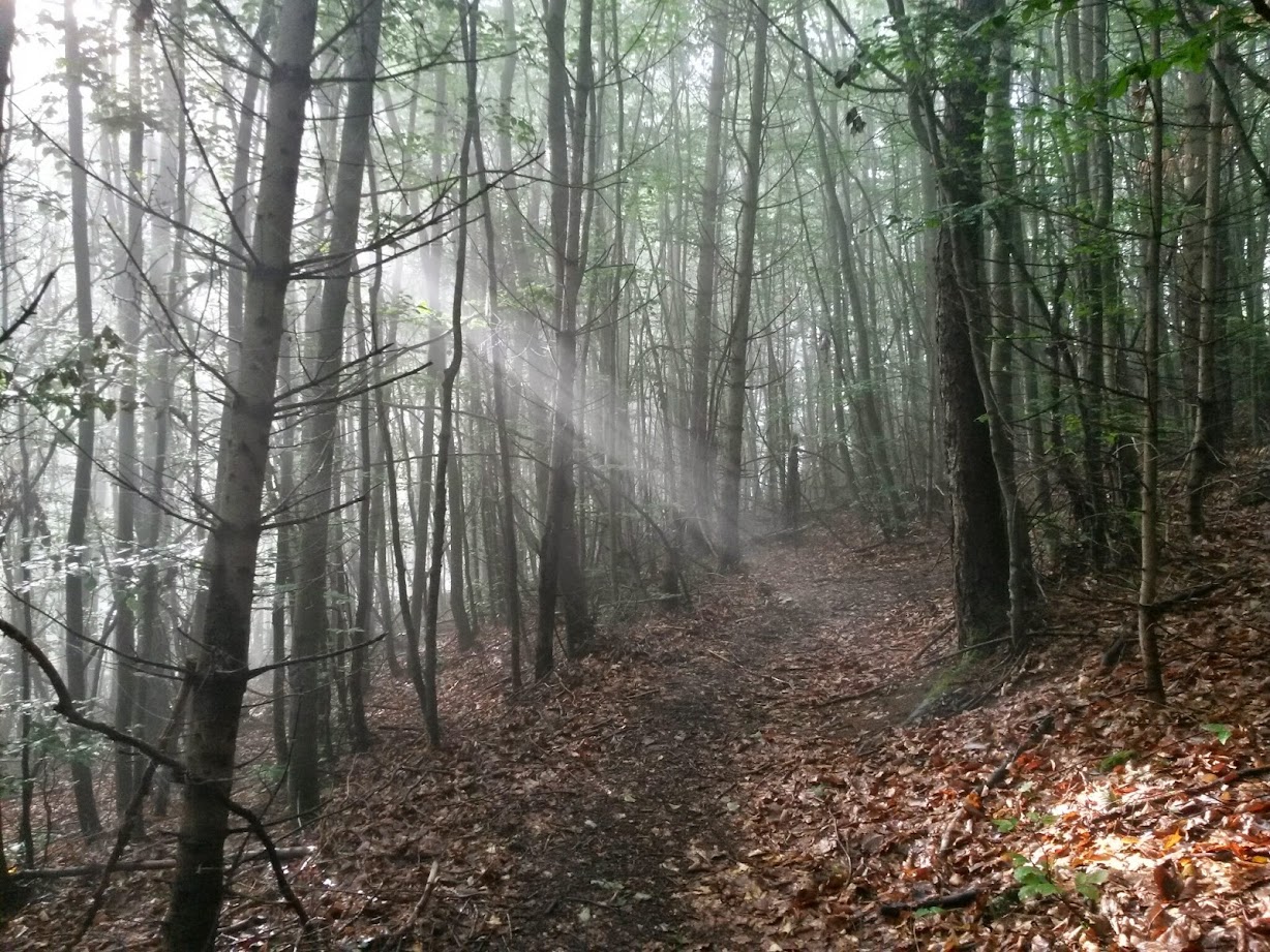 lh3.googleusercontent.com_-u7ueowmp7ty_u9zx74tr1vi_aaaaaaaabde_qyffw7xindw_w1228-h921-no_20140802_081351_richtone_28hdr_29.jpg lh3.googleusercontent.com_-u7ueowmp7ty_u9zx74tr1vi_aaaaaaaabde_qyffw7xindw_w1228-h921-no_20140802_081351_richtone_28hdr_29.jpg