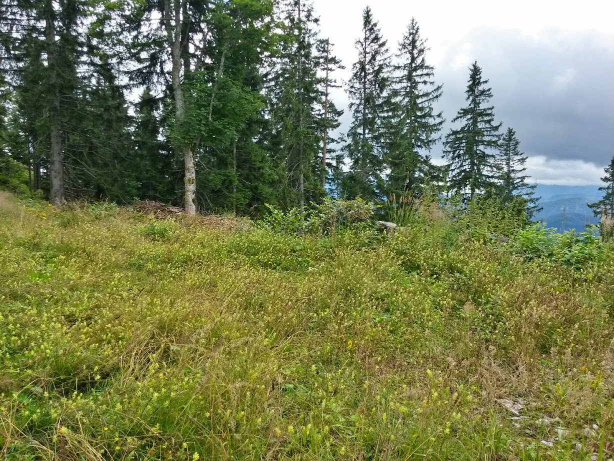 lh6.googleusercontent.com_-8zgspw8lkcq_u-97srn8mai_aaaaaaaacby_gl2iwwqqohy_w1228-h921-no_20140816_114832_richtone_28hdr_29.jpg lh6.googleusercontent.com_-8zgspw8lkcq_u-97srn8mai_aaaaaaaacby_gl2iwwqqohy_w1228-h921-no_20140816_114832_richtone_28hdr_29.jpg