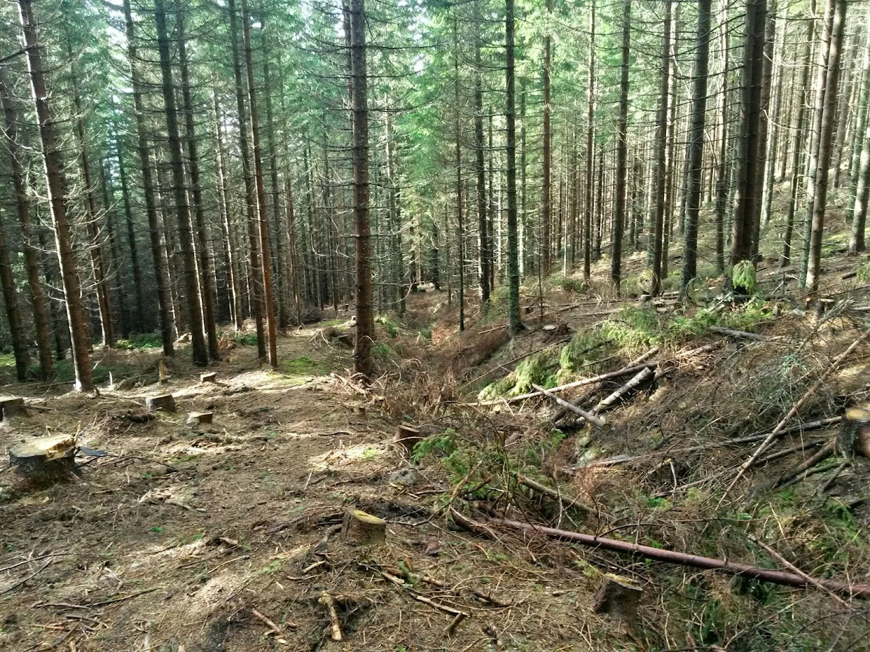 lh4.googleusercontent.com_-duox58f309w_vf9vq-dndji_aaaaaaaaev8_jmdohnedzyq_w1228-h921-no_20141109_115625_richtone_28hdr_29.jpg lh4.googleusercontent.com_-duox58f309w_vf9vq-dndji_aaaaaaaaev8_jmdohnedzyq_w1228-h921-no_20141109_115625_richtone_28hdr_29.jpg