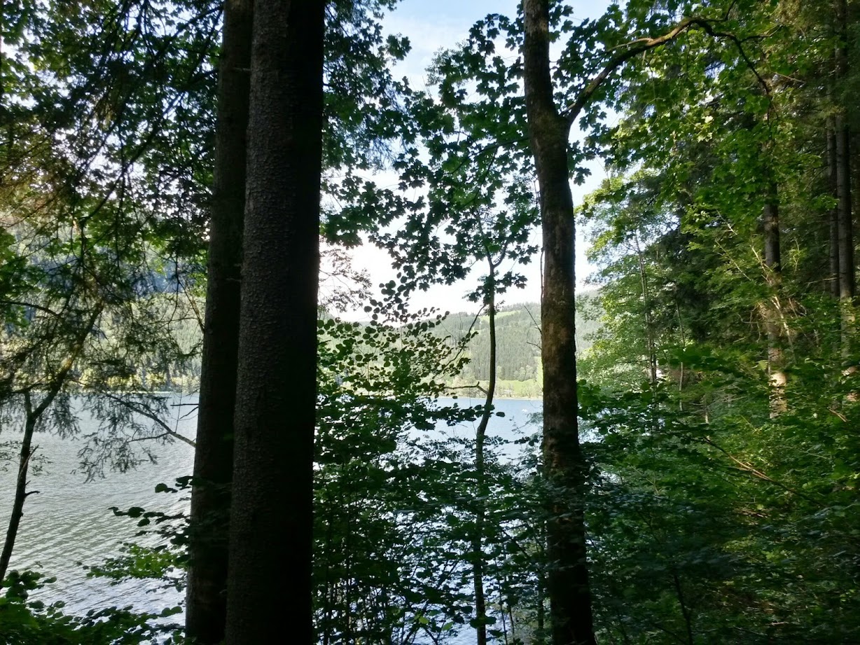 lh4.googleusercontent.com_-qc-4s2hxgd8_u-zwzgwfkdi_aaaaaaaab4w_5gjvl4oysgs_w1228-h921-no_20140809_164539_richtone_28hdr_29.jpg lh4.googleusercontent.com_-qc-4s2hxgd8_u-zwzgwfkdi_aaaaaaaab4w_5gjvl4oysgs_w1228-h921-no_20140809_164539_richtone_28hdr_29.jpg