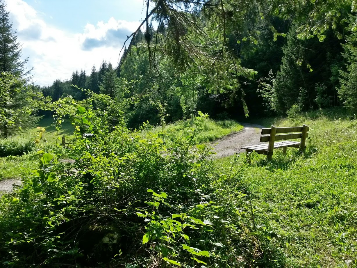 lh6.googleusercontent.com_-cghl5uq98d4_u-zwum_jm5i_aaaaaaaab4y_vsvi8icbpxy_w1228-h921-no_20140809_161941_richtone_28hdr_29.jpg lh6.googleusercontent.com_-cghl5uq98d4_u-zwum_jm5i_aaaaaaaab4y_vsvi8icbpxy_w1228-h921-no_20140809_161941_richtone_28hdr_29.jpg