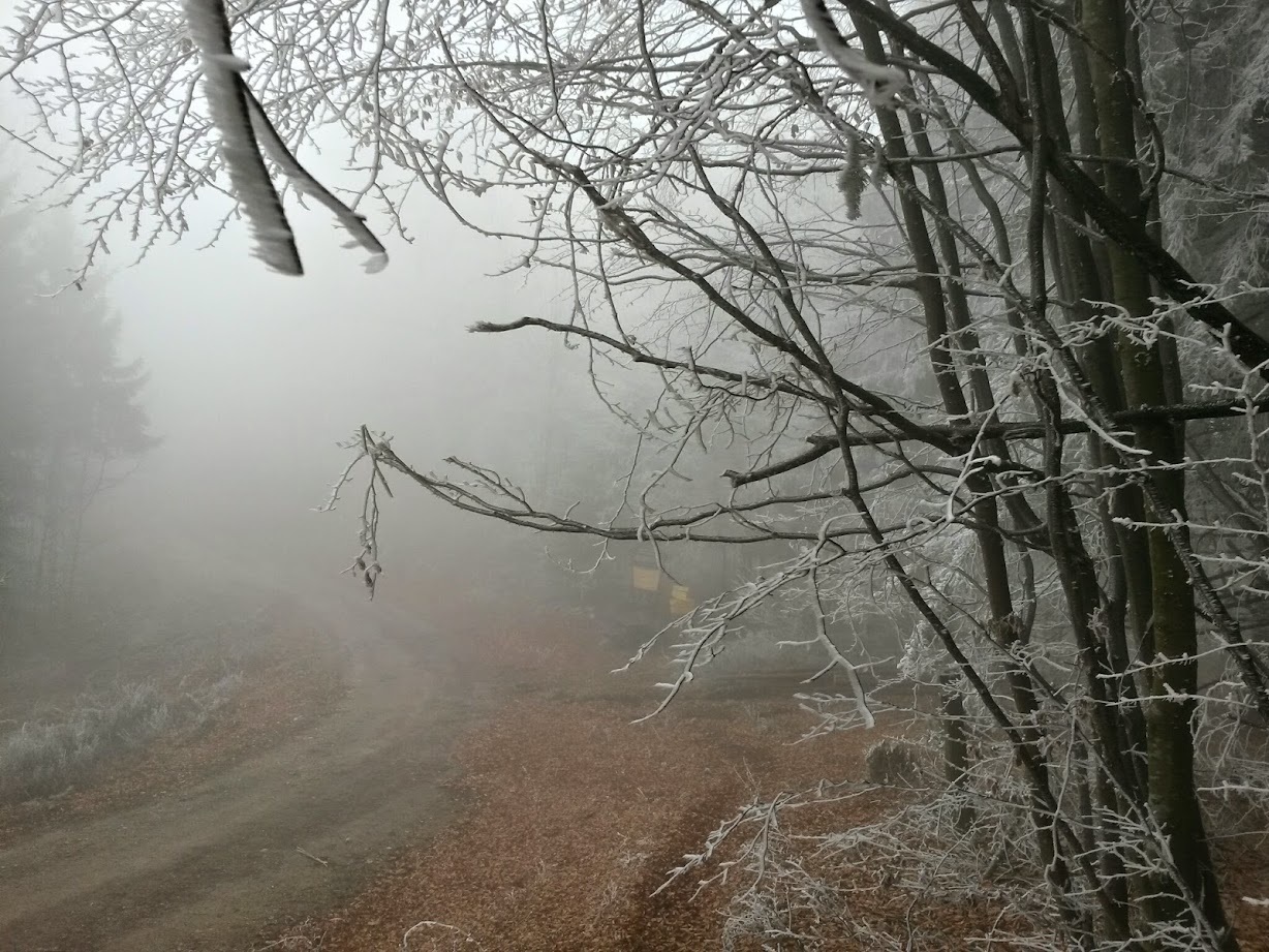 lh3.googleusercontent.com_-qkkvmkbmoxo_vhokyucwu8i_aaaaaaaafmy_phbcfmlghtq_w1228-h921-no_20141129_114931_richtone_28hdr_29.jpg lh3.googleusercontent.com_-qkkvmkbmoxo_vhokyucwu8i_aaaaaaaafmy_phbcfmlghtq_w1228-h921-no_20141129_114931_richtone_28hdr_29.jpg